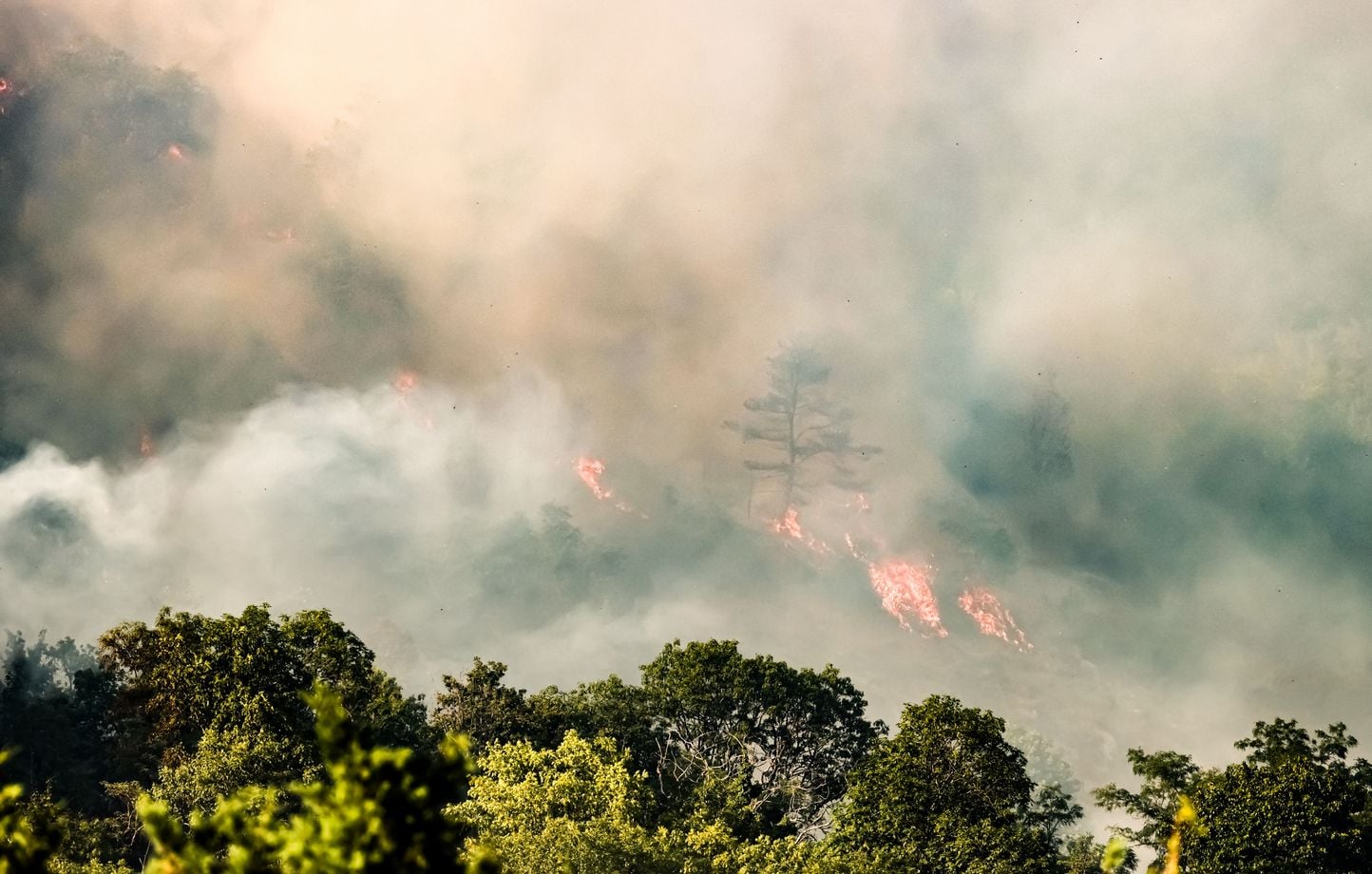 “Un mayor riesgo”… ¿El verano estará marcado por un aumento de los grandes incendios? “Un mayor riesgo”… ¿El verano estará marcado por un aumento de los grandes incendios?